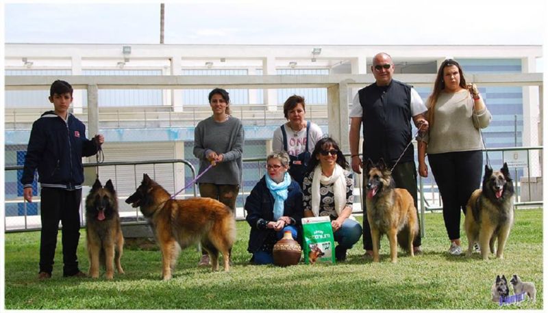 Llote de cria aquilvet BIS Lote Cria